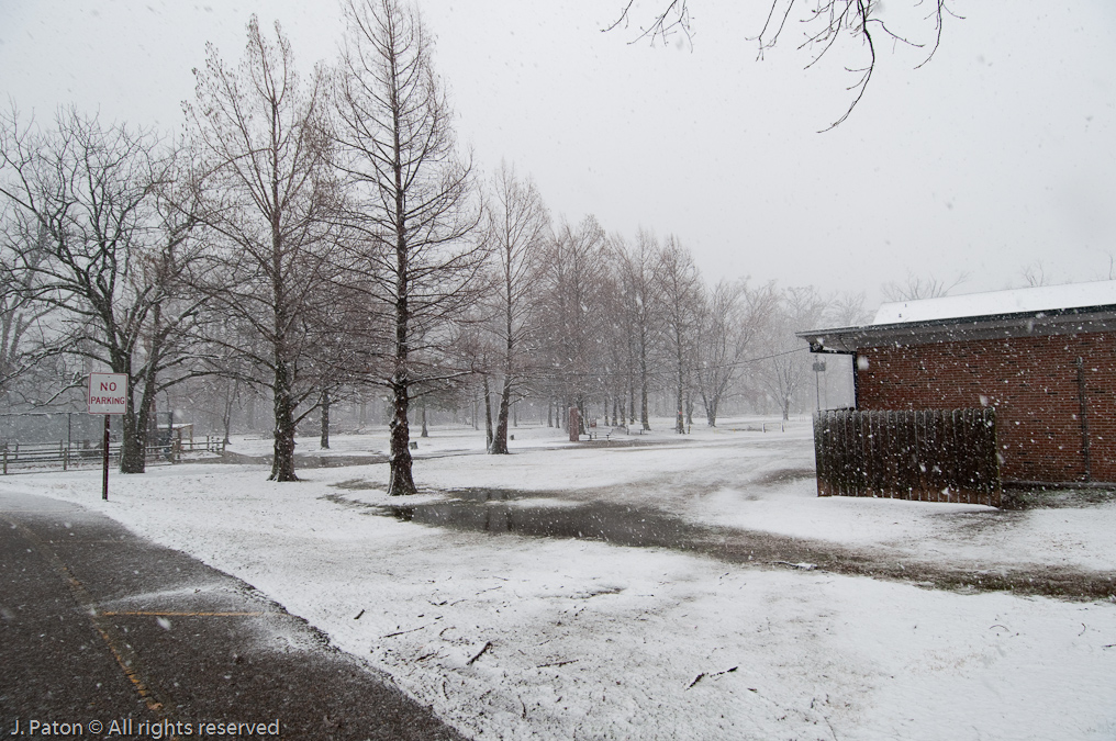 Beginning of Snow   Reelfoot State Park, Tennessee
