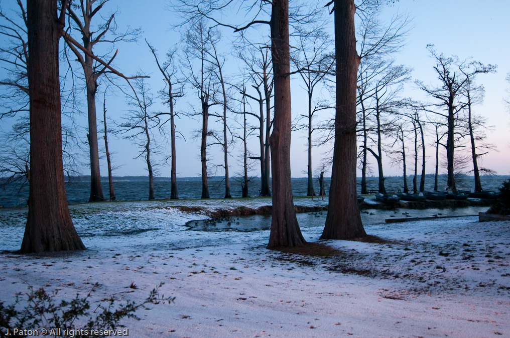 Final Morning   Blue Bank Resort Near Reelfoot Lake, Tennessee