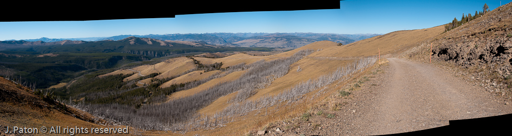 View From Mt Washburn Trail   Mount Washburn, Yellowstone National Park, Wyoming