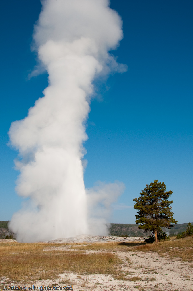 Old Faithful Eruption   Upper Geyser Basin, Yellowstone National Park, Wyoming