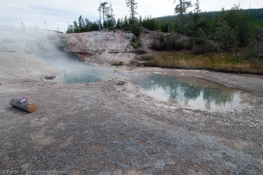 Green Dragon Spring   Norris Geyser Basin, Yellowstone National Park, Wyoming