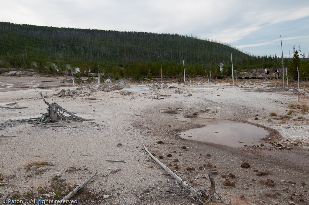 Porkchop Geyser   Norris Geyser Basin, Yellowstone National Park, Wyoming