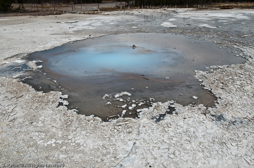 Pearl Geyser   Norris Geyser Basin, Yellowstone National Park, Wyoming