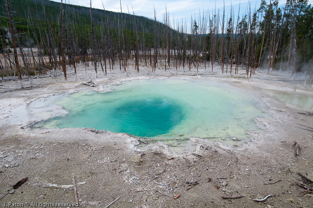 Cistern Geyser   Norris Geyser Basin, Yellowstone National Park, Wyoming