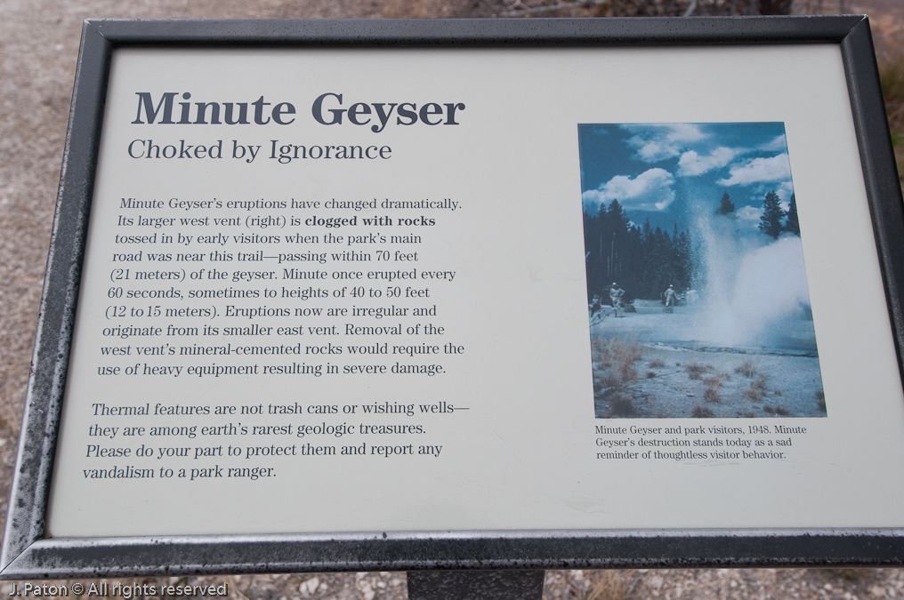Minute Geyser Sign   Norris Geyser Basin, Yellowstone National Park, Wyoming