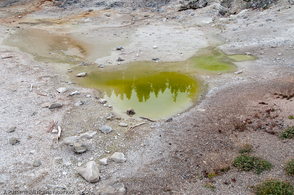 Solfatara   Norris Geyser Basin, Yellowstone National Park, Wyoming