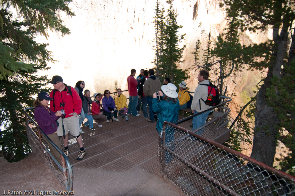 Picture Time at the bottom of Uncle Toms Trail   Canyon Area, Yellowstone National Park, Wyoming