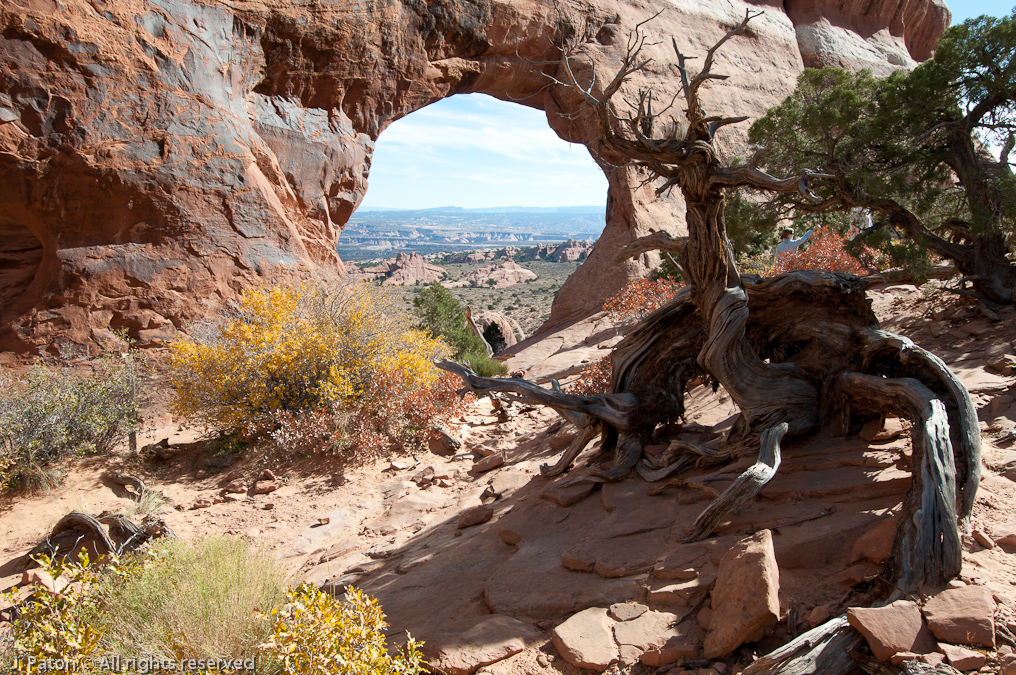 Partition Arch   Devils Garden Trail, Arches National Park, Utah