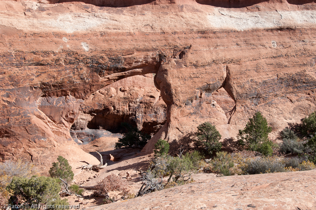 Partition Arch From Above   