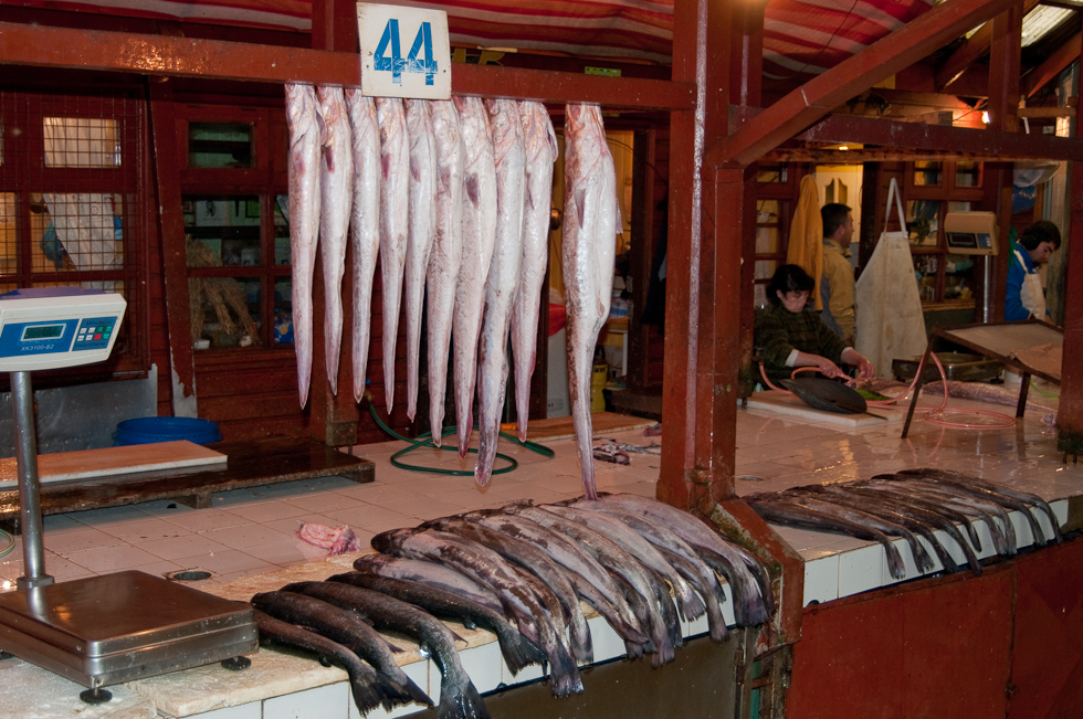 Even More Fish   Puerto Montt, Chile