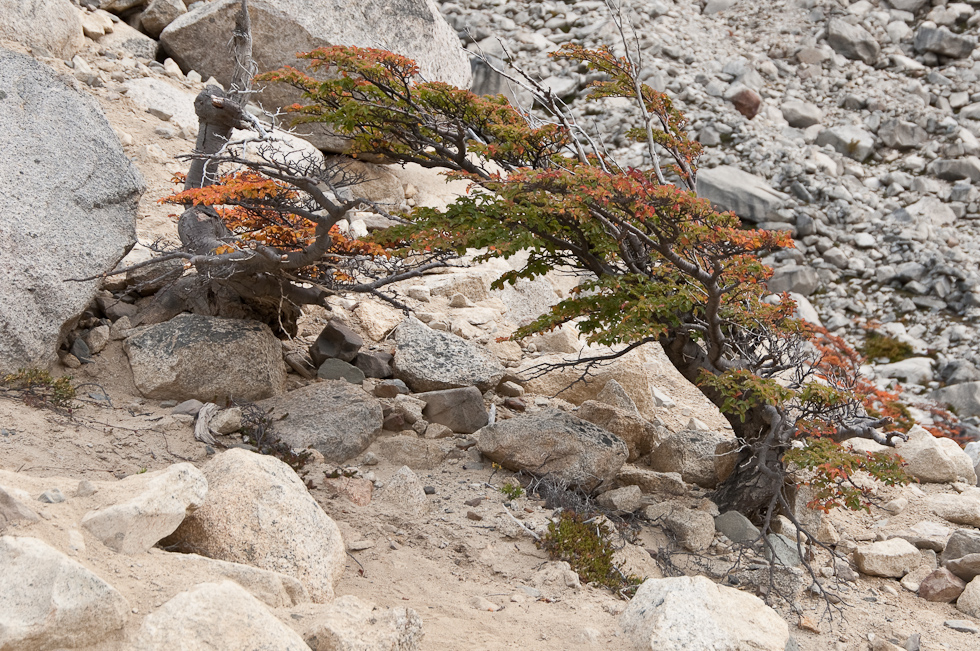    Torres del Paine National Park, Chile
