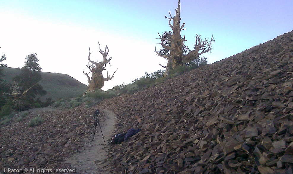Camera Setup for the Night   Discovery Trail,  Schulman Grove, Inyo National Forest, California