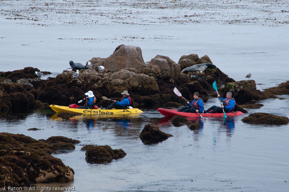    Monterey, California
