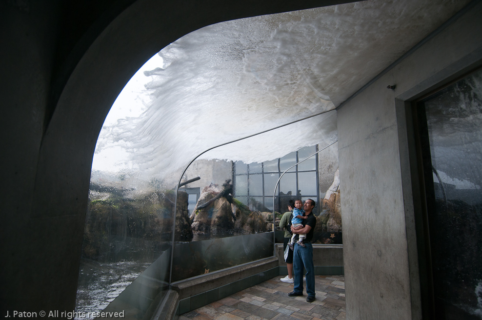 Monterey Bay Aquarium   Monterey, California