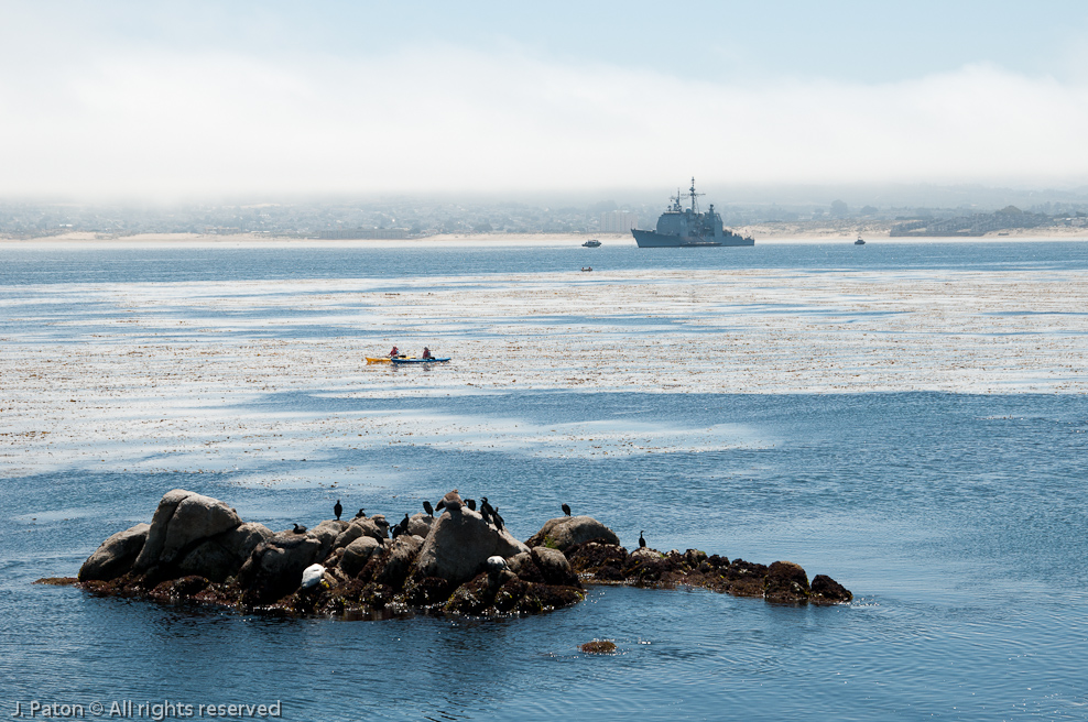 Monterey Bay Aquarium   Monterey, California