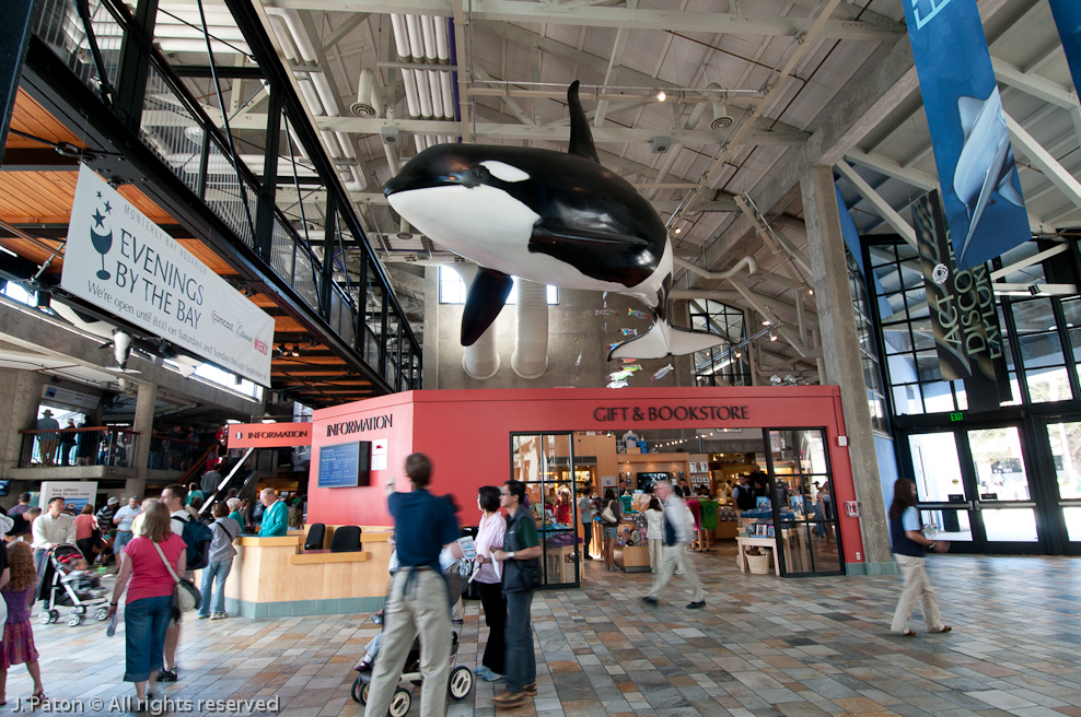 Monterey Bay Aquarium   Monterey, California