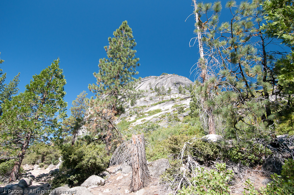 First View of Half Dome (maybe)   Yosemite National Park, California