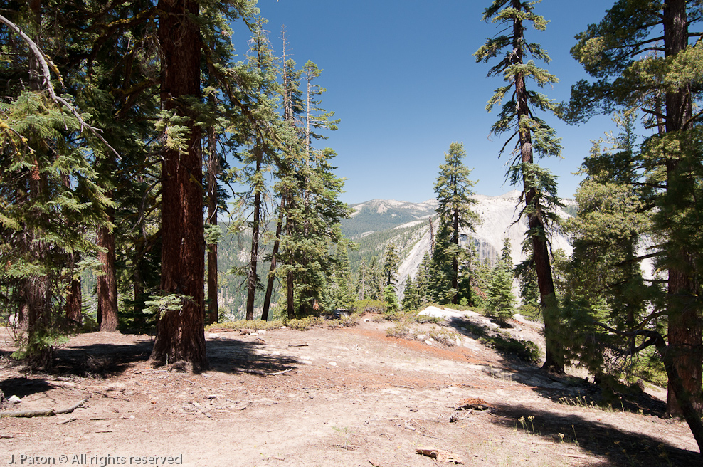 Higher Elevation   Yosemite National Park, California