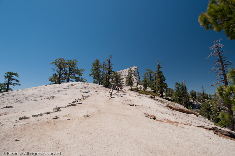 Easy Trail to Follow   Yosemite National Park, California