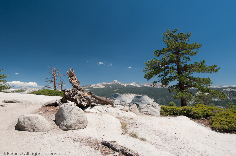 Final View from the Ridge   Yosemite National Park, California