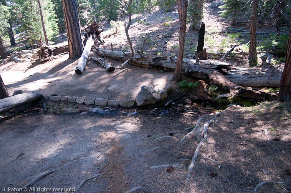 Spring   Yosemite National Park, California