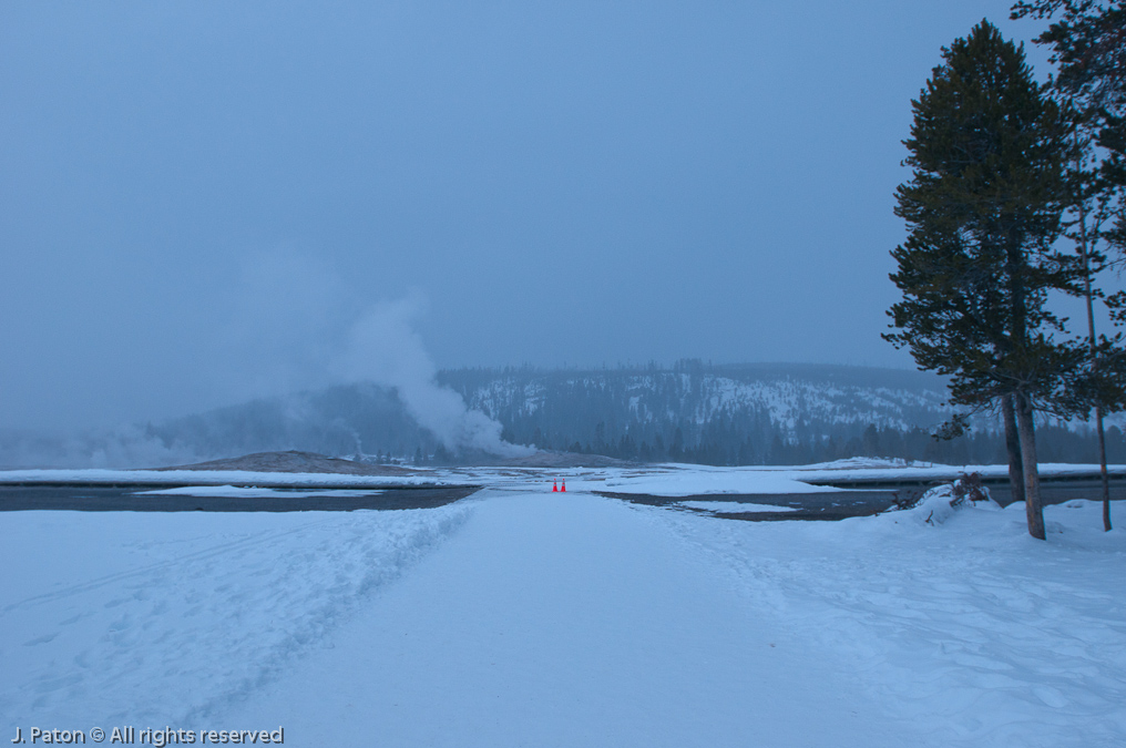 Lonely Old Faithful Geyser   Old Faithful Area, Yellowstone National Park, Wyoming