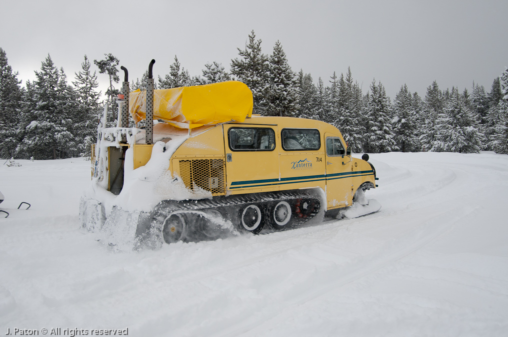 Leaving Madison Junction   Madison Junction, Yellowstone National Park, Wyoming