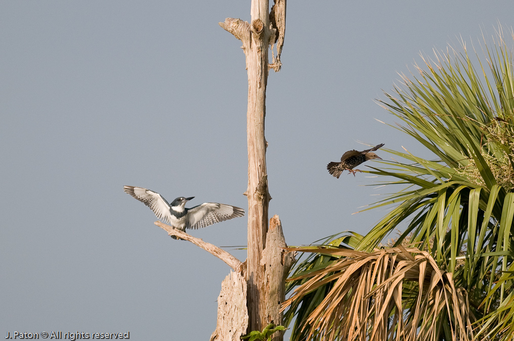    Viera Wetlands