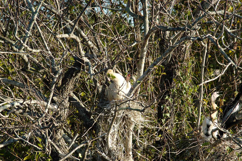    Everglades National Park