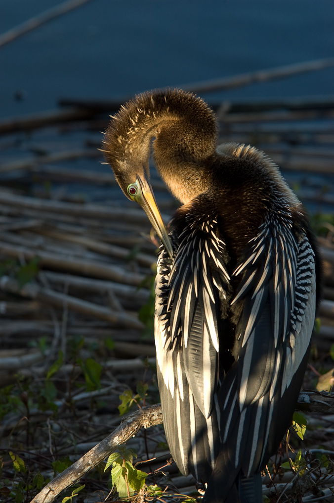    Everglades National Park