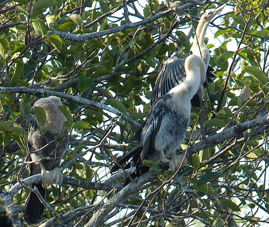    Everglades National Park