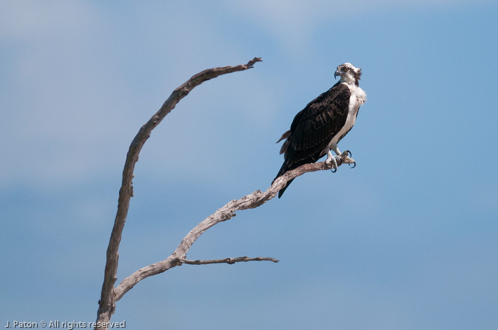    Biolab Road, Merritt Island National Wildlife Refuge, Florida