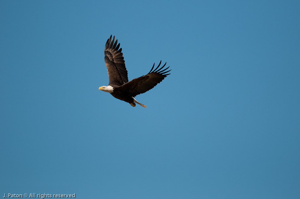    Prairie Lakes Road, Three Lakes Wildlife Management Area, Florida