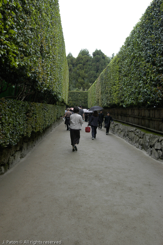 Tall Hedge at Ginkakuji, the Silver Pavilion   Kyoto, Japan