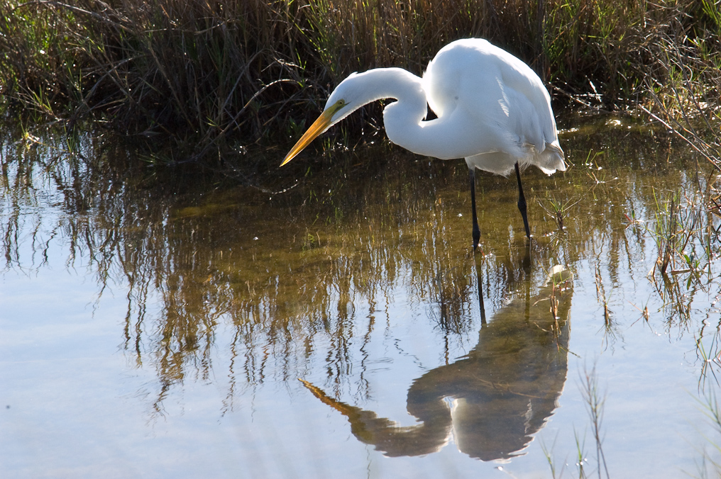    Black Point Drive, Merritt Island Wildlife Refuge 